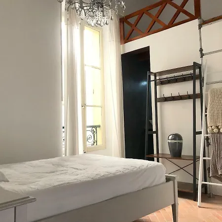 Vieil Superbe Appart Typique Spacieux Appartement Antibes